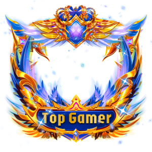 Top Gamer-1