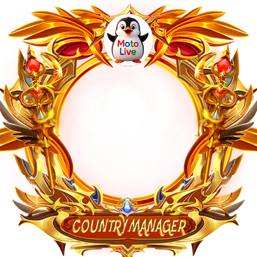 Country Manager