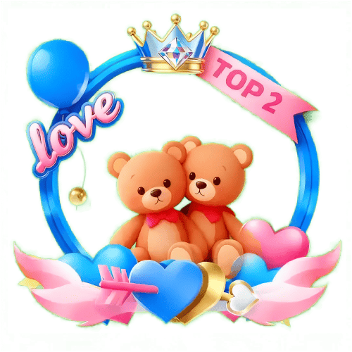 Teddy Top 2